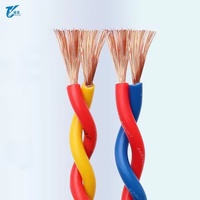 Fil flexible torsadé RVS