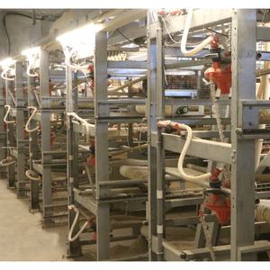 In vendita gabbia per batteria completamente automatica gabbia per polli da carne tipo H gabbia per polli da carne per sistema di allevamento di pollame agricolo - Product Image 5