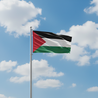 Nouveau drapeau de la Palestine personnalisé pour affichage promotionnel extérieur, conception personnalisée, couleur personnalisée, impression numérique, polyester non tissé