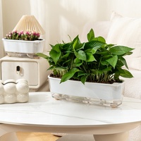 Pots à plantes succulentes blancs durables avec plateau, en plastique transparent respirant, auto-absorbants, pour culture hydroponique, décoration