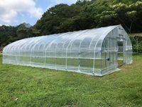 Tunnelkas voor groente- en fruitteelt |   Geïntegreerde dienstverlening van ontwerp, productie en installatie