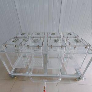 Chambres de laboratoire en acrylique Lucite (modèle CAST ACRYLIC) avec portes transparentes, système de drainage, épaisseur 3 mm pour usage industriel - Product Image 3