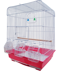 Vente en gros de cages à oiseaux en acier inoxydable cages d'élevage décoratives pour oiseaux et petits animaux de taille moyenne - Product Image 3