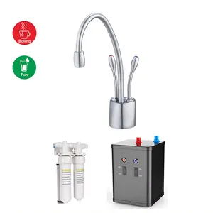 Iwater 2 Funktionen Instant-Wärmewasserhahn Kochen Wasserhahn 2 Griffe Küche Seitenspritze Filterwasser Küchenarmatur