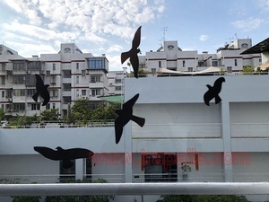 Adhesivo Repelente <span class=keywords><strong>de</strong></span> Aves para Ventanas <span class=keywords><strong>de</strong></span> Plástico Moderno, Reutilizable y Sostenible, Previene que las Aves Migratorias se Golpeen con el Vidrio, Protector <span class=keywords><strong>de</strong></span> Palomas para el Hogar - Product Image 5