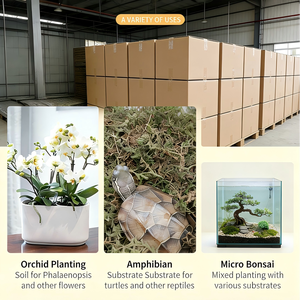 Factory Hot <strong>Sale</strong> Cheap Price Dried <strong>Sphagnum</strong> <strong>Moss</strong> <strong>for</strong> Potted Flowers and Succulent Cultivation - Product Image 4