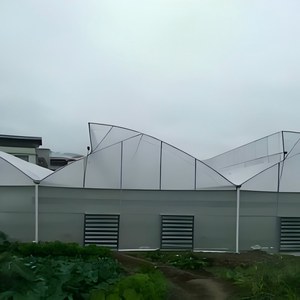 Invernadero Tipo Túnel Pequeño de un Solo Tramo, Diseño Plegable, Película de PE Transparente Estable, Fácil Montaje, Cultivo de <span class=keywords><strong>Remolacha</strong></span> por Temporada - Product Image 3