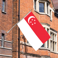 Drapeau de Singapour 3x5 FT, drapeaux nationaux personnalisés en polyester 90x150cm, bannière de fête, décoration murale pour jardin extérieur et intérieur