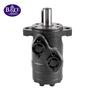 Moteur hydraulique Blince personnalisé OMP BMP 36/50/80/100/125/160/200 CC série Bmp200 pour camions malaxeurs - Product Image 4