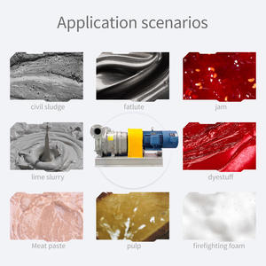 Bomba de lóbulos eléctrica de alta presión LZB de servicio pesado con conexión de brida de acero inoxidable y sello mecánico para lodos, aguas residuales y productos de pesca - Product Image 5