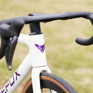 Cadre de vélo de route en fibre de carbone Firefox 700c léger avec frein à disque et passage interne des câbles pour la montagne - Product Image 1