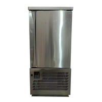 Congelador de Placas de Temperatura Ultrabaja de -45 °C con 12 Bandejas, Enfriador Rápido para Fábrica de Alimentos, Congelación Comercial de Pescado, Carne y Pan