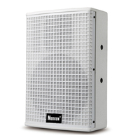 Altavoz Profesional de Línea de 10 Pulgadas para Interiores, Columna de Sonido Metálica con Audio de Alta Resolución de 250W