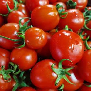 طماطم كرزية طماطم صغيرة ، طماطم موسمية صغيرة ، تأكل فواكه طازجة للبيع بالجملة لفاكهة الألفية ، وغيرها - Product Image 6