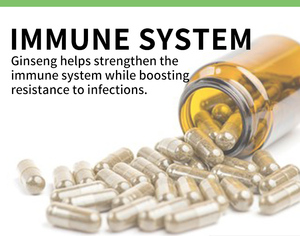 Tốt Bán Sức Khỏe Bổ Sung Năng Lượng Ashwaganda Viên Nang Nhân Sâm Hàn Quốc Red <span class=keywords><strong>Panax</strong></span> <span class=keywords><strong>Ginseng</strong></span> Chiết Xuất Nhân Sâm Viên Nang - Product Image 5