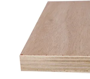 18mm Commercial Plywood 18mm Bintangor Poplar Plywood