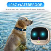 Nouveauté : Collier anti-perte pour chien et chat avec moniteur d'activité en temps réel, appel vocal, GPS intelligent 2G, mini traceur pour animaux de compagnie