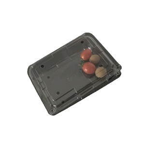 Clamshell Plastic Fruit Box Disposable Plastic Boxes Square High Quality Wholesale