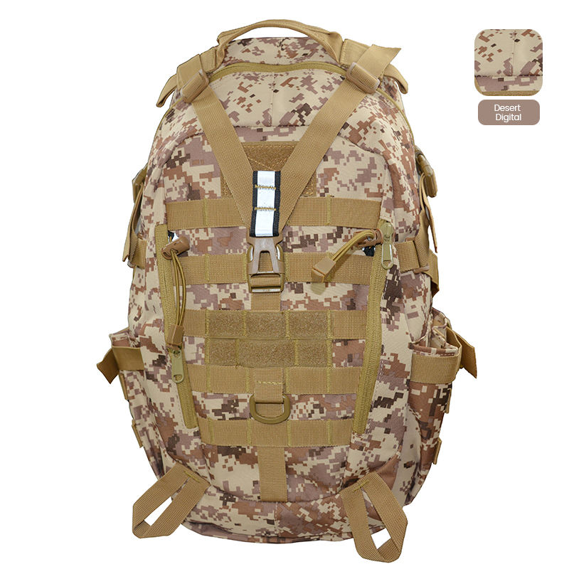 ทะเลทรายดิจิทัล