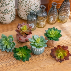 Cây Mọng Nước Nhân Tạo Mini Trồng Trong Chậu Sen/Thân Cây/Lựa Chọn - Product Image 3