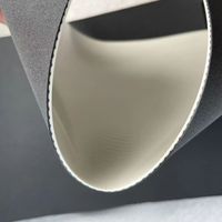 Membrane d'étanchéité industrielle TPO, ruban de protection pour toiture, sous-couche en rouleau pour la construction de toitures, utilisation extérieure, résistant aux UV
