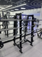 Support de Rangement pour Barres de Musculation en Acier Q235 ROSEN Fitness Type Avancé, Sûr et Durable, 72x79x152cm, 75.5kg, Garantie 1 An