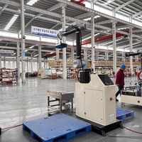 Robot collaboratif de palettisation, système de préhension et de placement, palettisation automatique de boîtes et de cartons, palettes de 20 kg et 30 kg, bras robotisé de palettisation