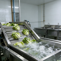 Ultrasoon reinigingsapparaat voor fruit en groenten, geschikt voor het wassen van druiven, kersen en tomaten