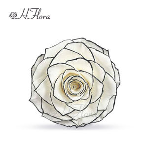 زهري رائج البيع لون وردي محفوظ رأس 7-8 قوس قزح متعدد الألوان طبيعي أزهار أبدية لتزيين الطاولة DIY - Product Image 3