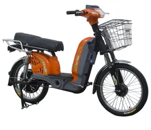 Batería portátil de carga pesada, bicicleta eléctrica de carga con pedal