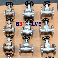 Katup Cek Piston Baja Tempa API 602 Alloy 2507 Kelas 800 Sambungan Las Soket SW Lift Aplikasi Minyak & Gas 1/2"-2"