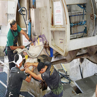 Ligne d'abattage rituel halal pour bovins à prix d'usine, boîte de rotation pour le rituel d'abattage des vaches, pour les grandes machines d'abattoir