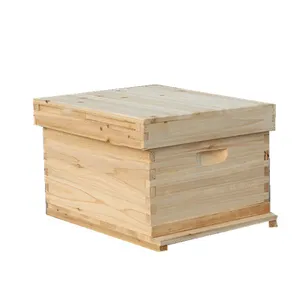 Ruche en bois pour abeilles, modèle runnings pour apiculture