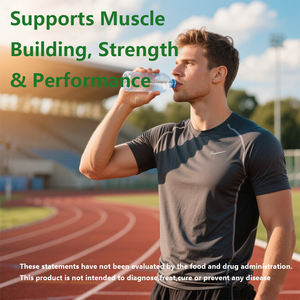 OEM/ODM kreatin monohidrat tozu, kas sağlığı, kas enerji üretimi kreatin sonrası egzersiz kurtarma içeceği - Product Image 6