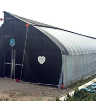 Serre solaire hydroponique isolée avec structure entièrement en acier et couverture en film