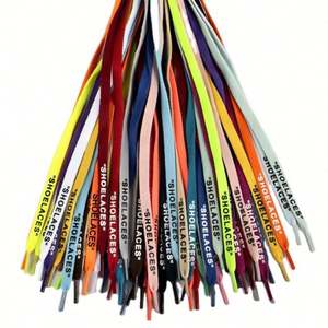 Promotional Gift Reflective Shoelaces <b>Elastic</b> Wholesale Wide Hollow Colored Flat Custom Shoelaces Shoe <b>Laces</b> - Product Image 1