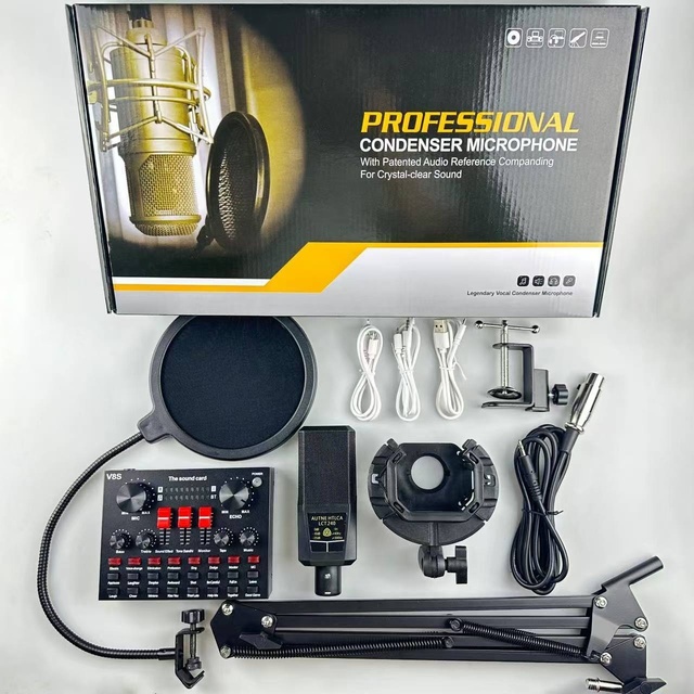 Factory Direct Sale 240 Condenser Microphone Professional Recording Large Diaphragm Square Cardioid Wired Karaoke Live Sound