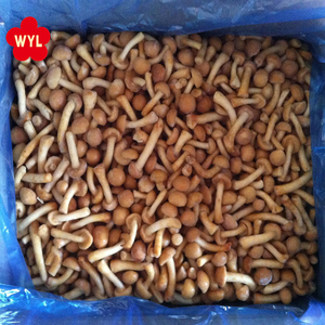 De <span class=keywords><strong>Nameko</strong></span> congelados - Product Image 6