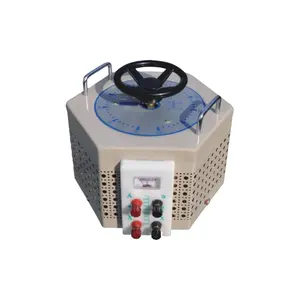 IT61 110 V 降压变压器 220 V 升压转换器 avr 电力变压器