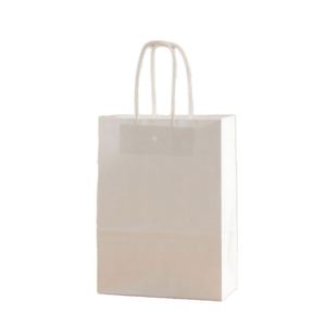 Sac en papier kraft recyclable avec logo personnalisé imprimé à l'écran, poignée torsadée, pour vêtements, thé, sac à main, shopping, emballage personnalisé - Product Image 1