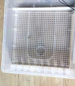 Thiết Bị Nở Thiết Bị Gia Cầm Máy Ấp Trứng - Product Image 5