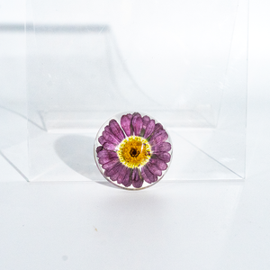 Artesanías de Resina, Especímenes de Resina, Flores Secas, Artesanías de Resina Hechas a Mano, Especímenes de Flores DIY, Recursos Didácticos, Regalos de Navidad, Plantas - Product Image 4