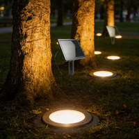 Profession elle Solar-Boden beleuchtung 5W IP67 Wasserdichte LED-Untergrund beleuchtung für den Gartenweg