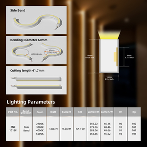 Lumière néon flexible DC24V, 10*18mm, extrusion latérale, couleur unique, haute efficacité lumineuse 85lm/w, étanche IP67 - Product Image 2