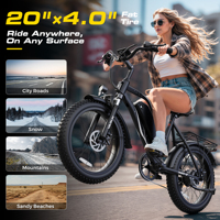 Vélo Électrique Tout-Terrain 20 Pouces à Pneus Larges, Vente en Gros Multi-Lots depuis l'Entrepôt Américain, Moteur 750W, Cadre en Acier Carbone, Batterie Amovible 48V13Ah, Livraison Rapide