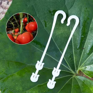 Conjunto de suporte de tomate de plantas, ganchos de suporte para vegetais, frutas, gancho de escalada, planta