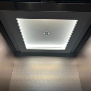 Ascensor Panorámico OTIS para 8 Personas, 630 kg, de Buena Calidad - Product Image 4