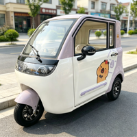 Tricycle Électrique à Trois Roues Neuf, Véhicule Énergétique, Tricycle Électrique Fermé pour Passagers, Prix de Gros