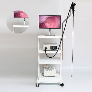 Büyük forseps kanal gastroskop üst ve alt GI yolu küçük hayvanlar ve hava yolları at endoskopisinde çalışır - Product Image 2