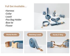 ชุดปลอกคอและสายจูงสุนัขสำหรับลูกสุนัขขนาดเล็กขนาดใหญ่สีฟ้าอมเขียวพร้อมฮาร์ดแวร์สีทอง - Product Image 6